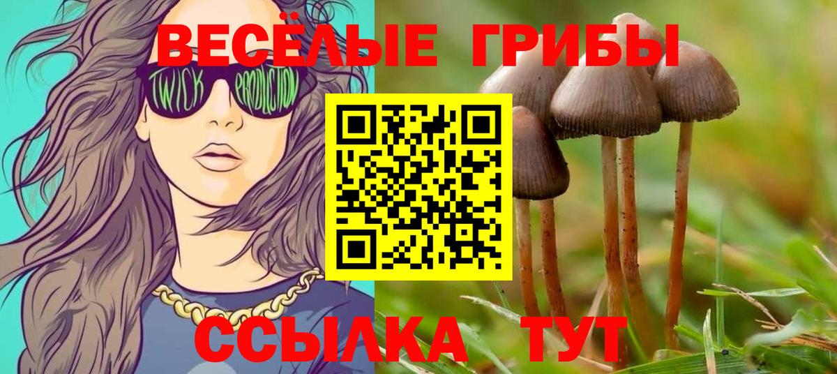 Галлюциногенные грибы Psilocybine cubensis  Вход с VPN  Коркино 